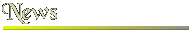 News Header